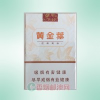 黄金叶（天韵）