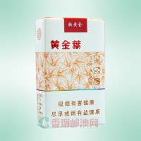 黄金叶（软黄金）